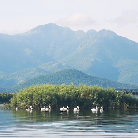 Apartment Dapcevic Skadar Lake Vranjina Zewnętrze zdjęcie