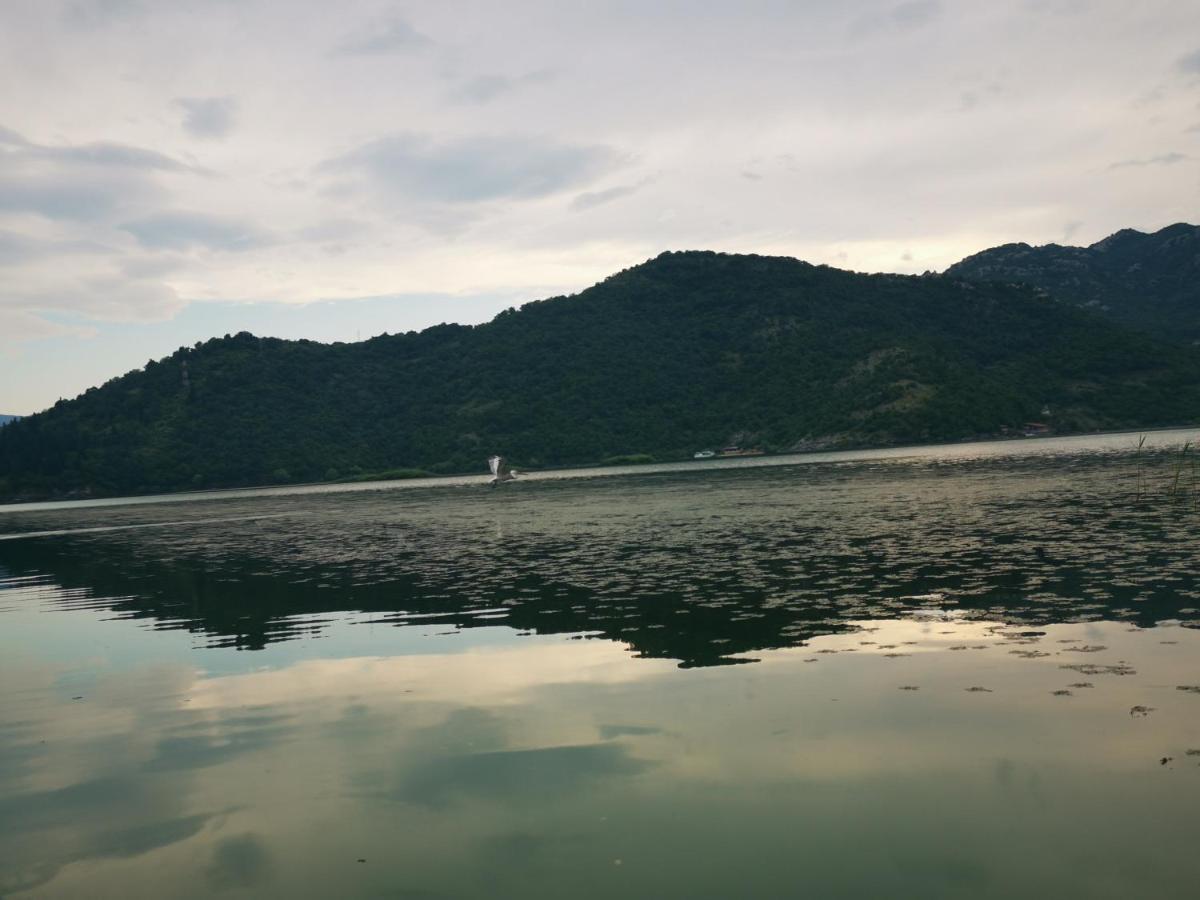 Apartment Dapcevic Skadar Lake Vranjina Zewnętrze zdjęcie