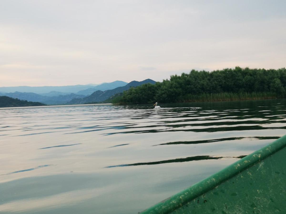 Apartment Dapcevic Skadar Lake Vranjina Zewnętrze zdjęcie