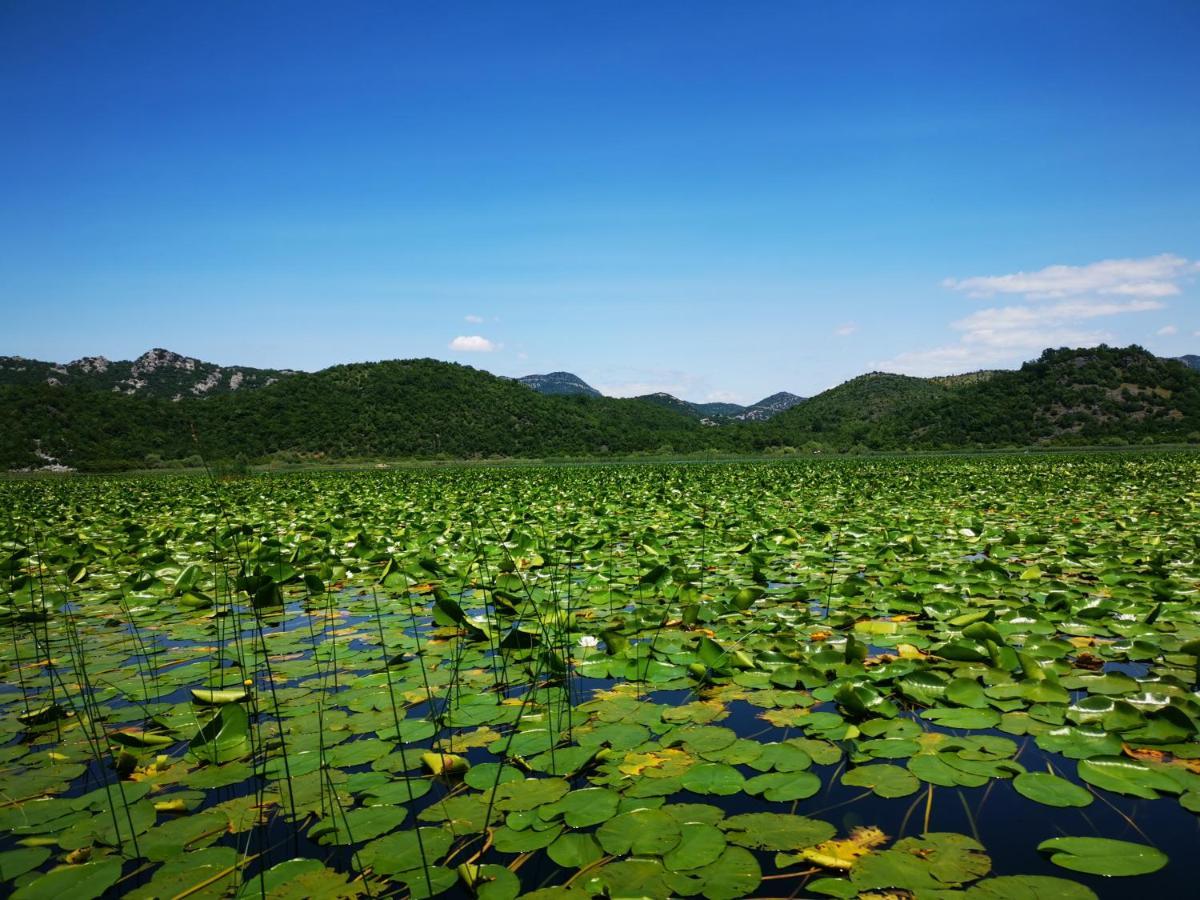 Apartment Dapcevic Skadar Lake Vranjina Zewnętrze zdjęcie