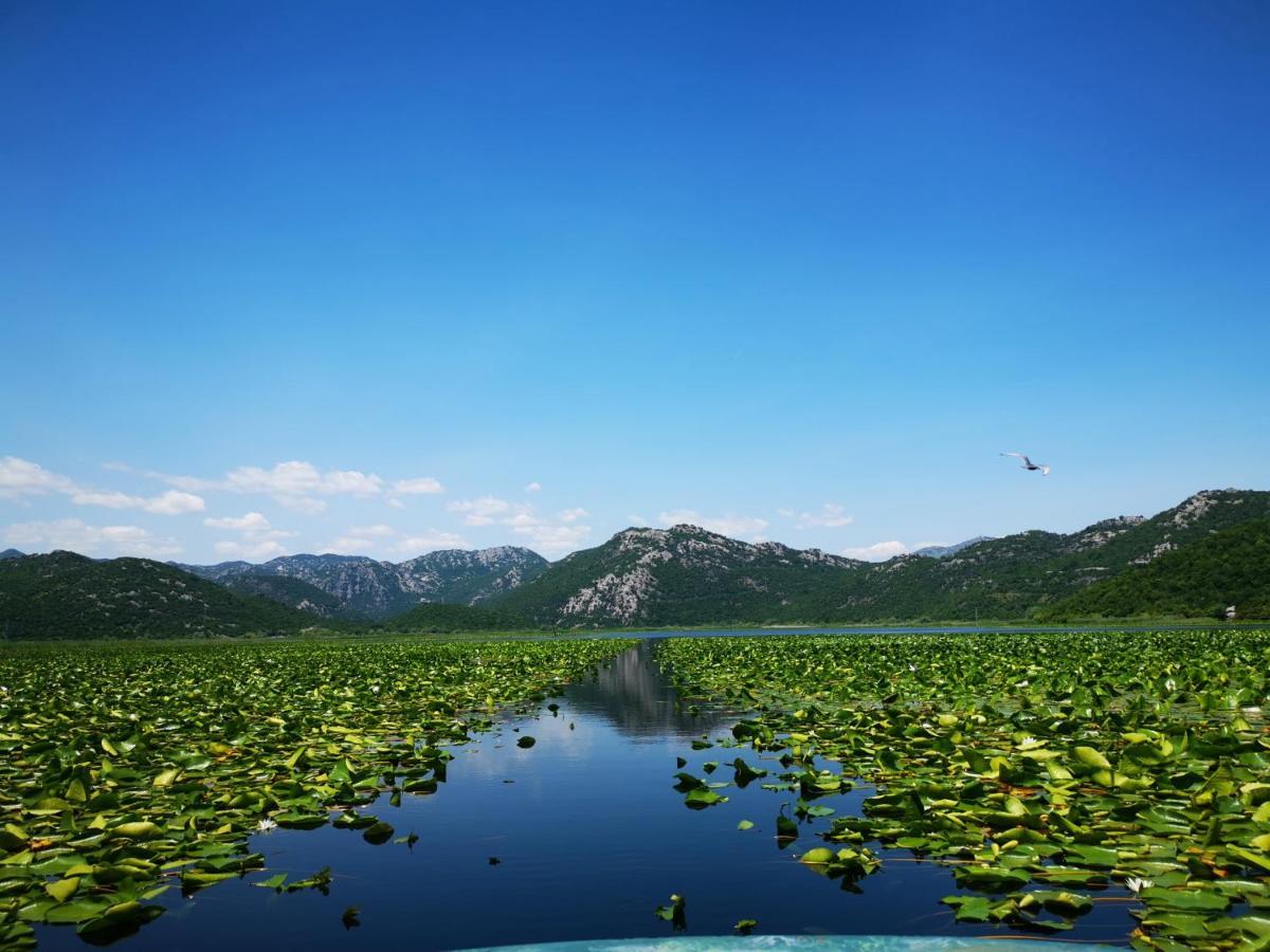 Apartment Dapcevic Skadar Lake Vranjina Zewnętrze zdjęcie