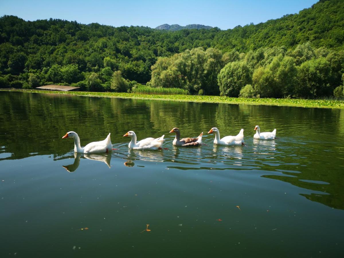 Apartment Dapcevic Skadar Lake Vranjina Zewnętrze zdjęcie