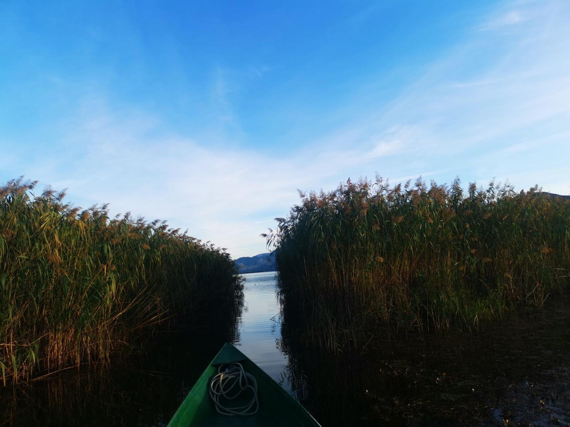 Apartment Dapcevic Skadar Lake Vranjina Zewnętrze zdjęcie