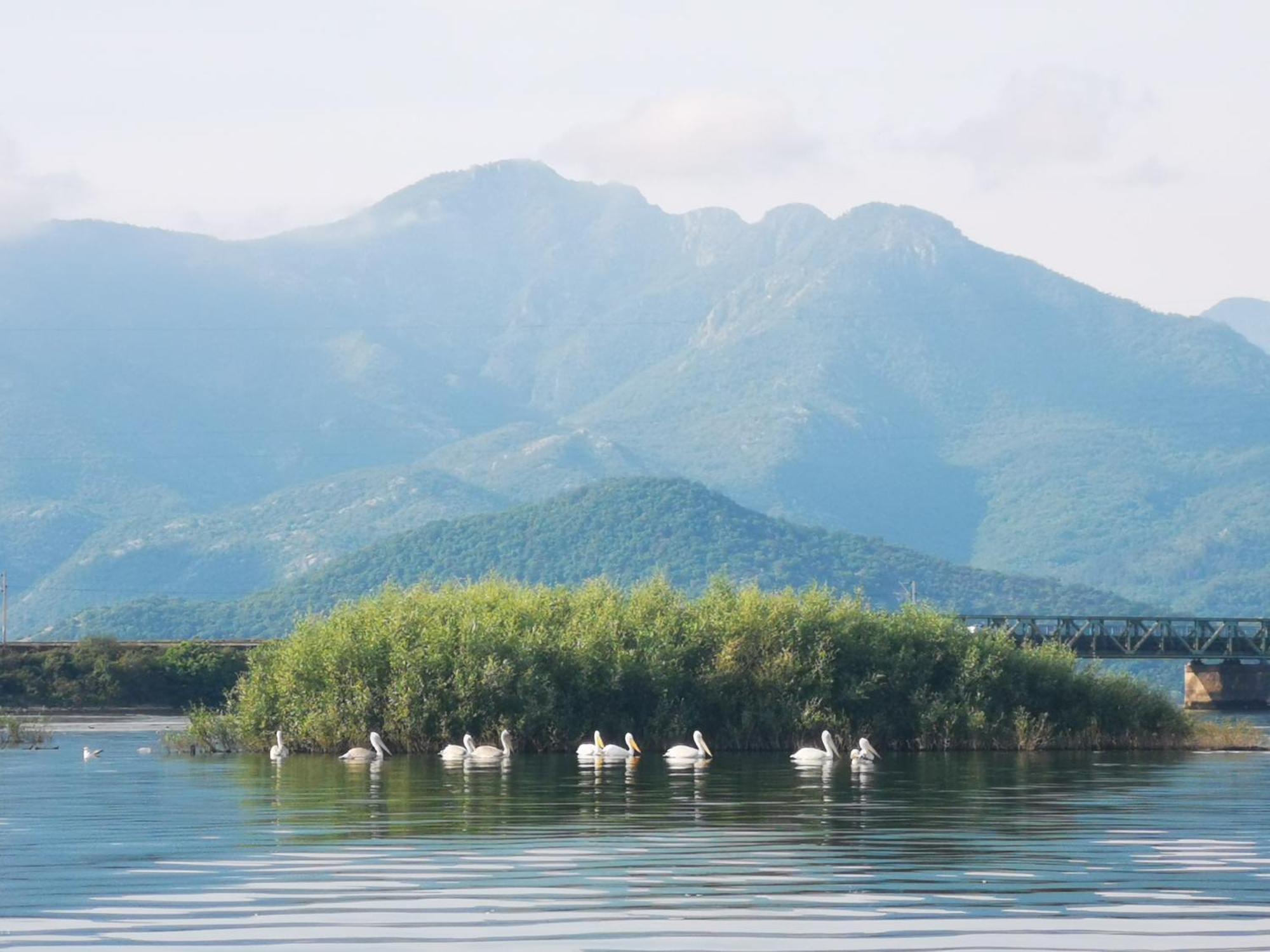 Apartment Dapcevic Skadar Lake Vranjina Zewnętrze zdjęcie