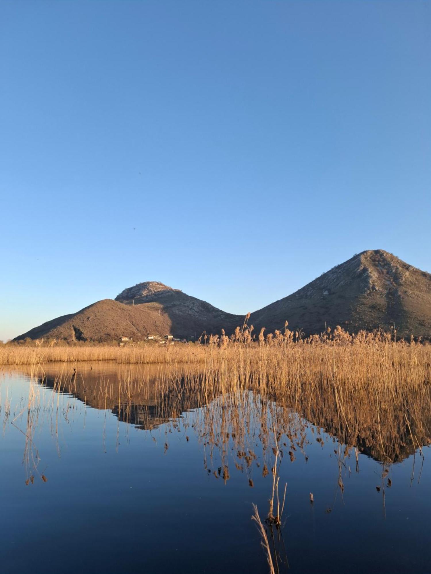 Apartment Dapcevic Skadar Lake Vranjina Zewnętrze zdjęcie