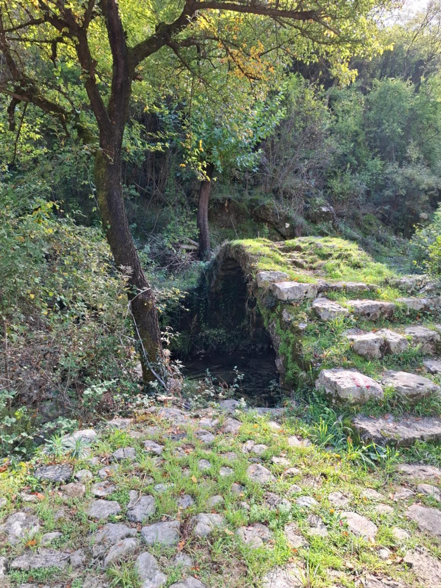 Apartment Dapcevic Skadar Lake Vranjina Zewnętrze zdjęcie